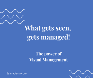 What Gets Seen Gets Managed