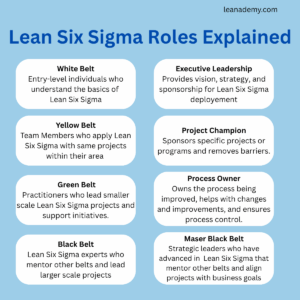 Lean Six Sigma Roles Explained
